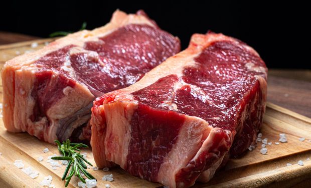 Exportações de carne bovina batem recorde em fevereiro e acumulam alta de 4,7% no ano