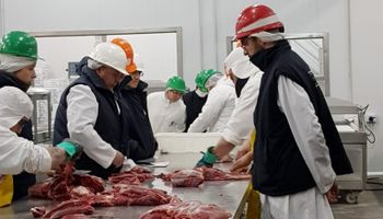 La exportación de carne a China se mantiene con firmeza en un contexto de menor crecimiento del país asiático