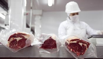 Fuerte baja para el precio de la carne exportada: retrocedió un 15,4 % en relación a 2019