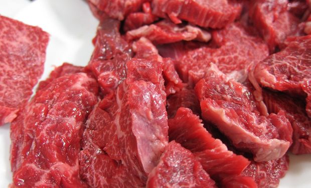 Em 2022, Chile foi o sexto destino das exportações totais brasileiras, sendo o terceiro destino para carne suína e quinto para carne bovina. (foto - Pixabay)