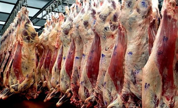 La Cámara de la Industria de la Carne (Ciccra) analizó ayer en un informe la pérdida de competitividad del sector.