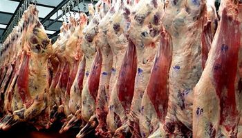 Brasil podría exportar carne a EE.UU.