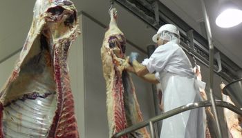 Los frigoríficos líderes faenaron más novillos en octubre