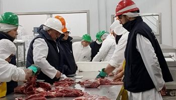 Las exportaciones de carne cayeron un 17 % afectadas por el mercado chino