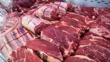 El Gobierno y los frigoríficos lanzan carne a precios accesibles con rebajas de hasta un 30 %