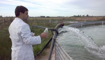 Carne argentina: mejorar la calidad e inocuidad