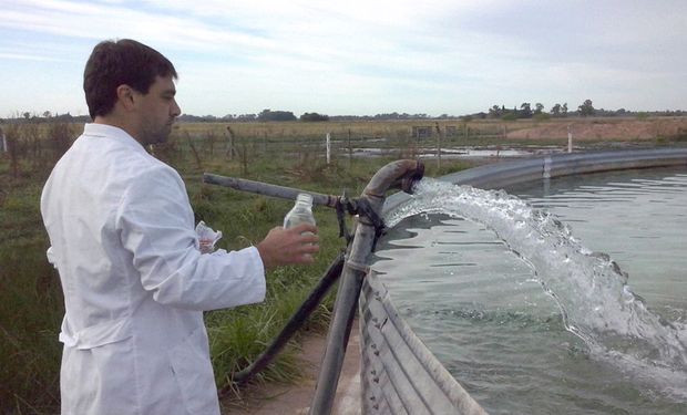Toma de muestras en piletones de enfriamiento. Foto: Gentileza investigador.
