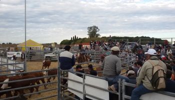 Gran presencia del IPCVA en AgroActiva 2015