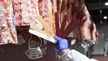 Los frigoríficos adoptan la tipificación bovina y ya se aplica en el 95 % de la faena