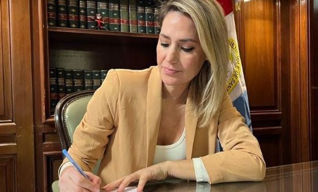 Carolina Losada propone bajar retenciones al trigo y el maíz: presentó un proyecto en el Senado