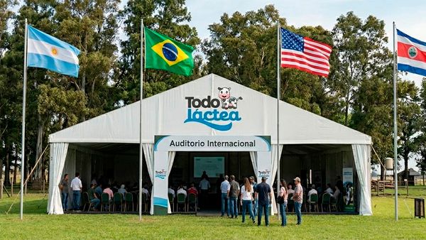 carpa internacional de todolactea