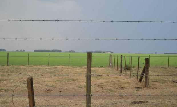 Un año con poco trigo, menos vacas y soja guardada en los silos