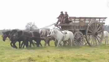 Video: así arrancó la carreta de los gauchos que viajará el 9 de julio a San Nicolás