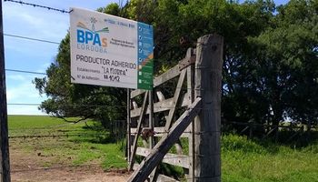 Fitosanitarios: cuando hacer las cosas bien marca la diferencia