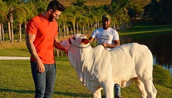 Gusttavo Lima tem fazenda de R$ 275 milhões no Mato Grosso, casa faraônica em Goiás e investe no agro