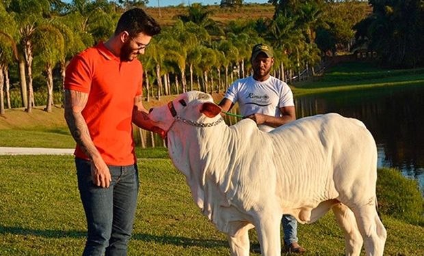 Gusttavo Lima tem fazenda de R$ 275 milhões no Mato Grosso, casa faraônica em Goiás e investe no agro