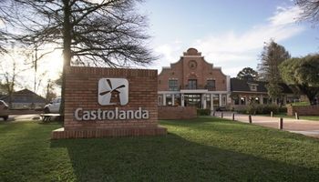 Castrolanda anuncia R$ 500 milhões para indústria de leite e expansão no Tocantins