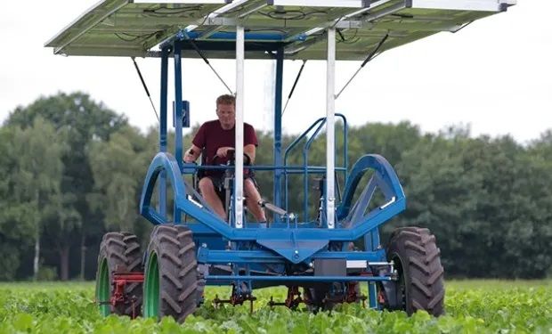 Produtor cria "cavalo" solar que trabalha até 8 horas sem parar 