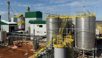 Novas usinas de etanol de grãos entram em operação em MT e RS