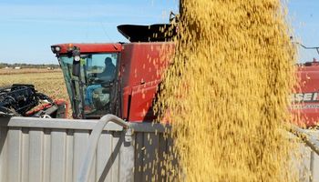 CBOT: nuevas subas en medio de la cosecha récord