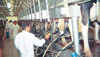 La producción de leche creció 4,3% en 2018 pero cayó la cantidad de tambos