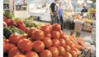 Se dispara otra vez el precio del tomate que llega casi a $ 40 