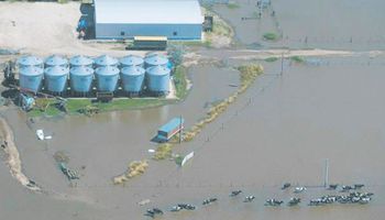 Por las inundaciones, se profundiza la crisis de la industria láctea