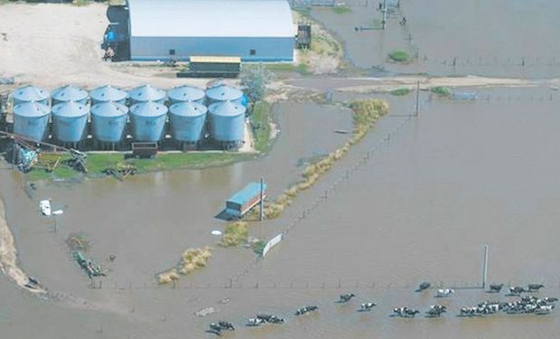 Hay muchos tamberos en situación desesperante, como consecuencia de las inundaciones.