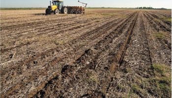 Herramientas de planificación fiscal que son útiles para la empresa agropecuaria