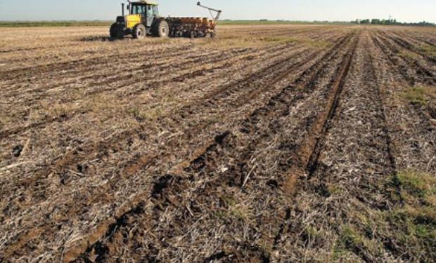 Herramientas de planificación fiscal que son útiles para la empresa agropecuaria