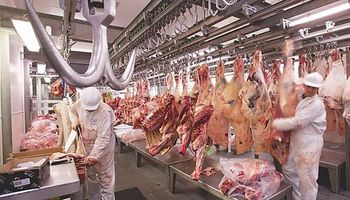 Abren el registro para exportar 15.000 toneladas de carne hacia los EE.UU