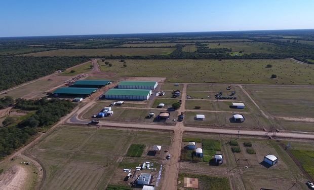 Las ciudades de Loma Plata, Neuland y Filadelfia, convergen en el departamento de Boquerón, Chaco Central.