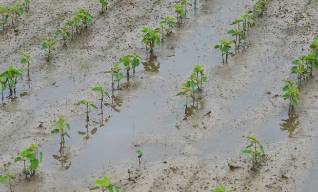 Lluvias generalizadas: las zonas que más milímetros recibieron y cómo sigue el tiempo para el agro