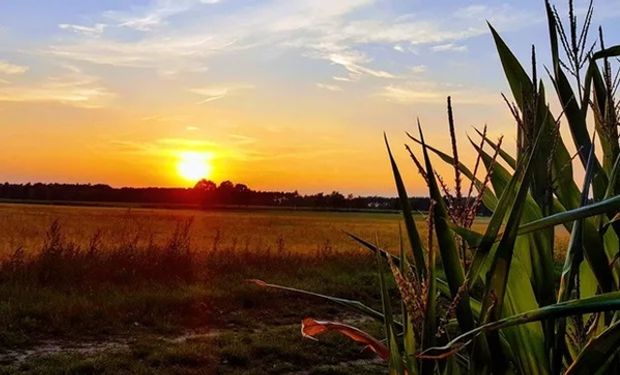 ¿Continuidad de las lluvias? día por día, qué dice el pronóstico del tiempo para los próximos días