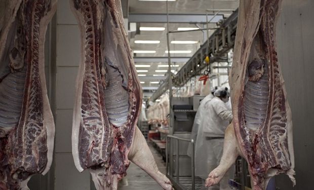 La carne porcina argentina dirá presente en Singapur