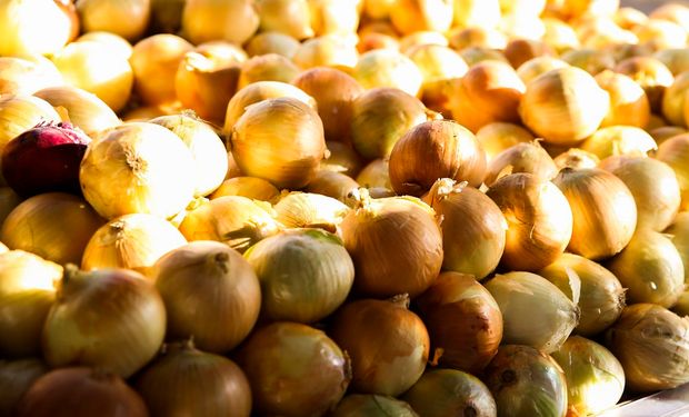 A cebola foi o produto que registrou a maior queda na média ponderada registrada em setembro. (foto - Agência Brasil)