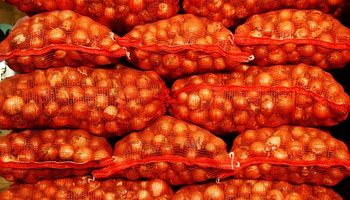 Hay 54.000 toneladas de cebolla que no tienen comprador y muchos productores no podrán sembrar