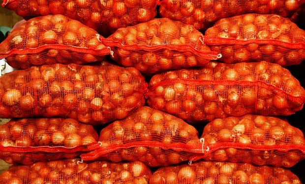 Hay 54.000 toneladas de cebolla que no tienen comprador y muchos productores no podrán sembrar