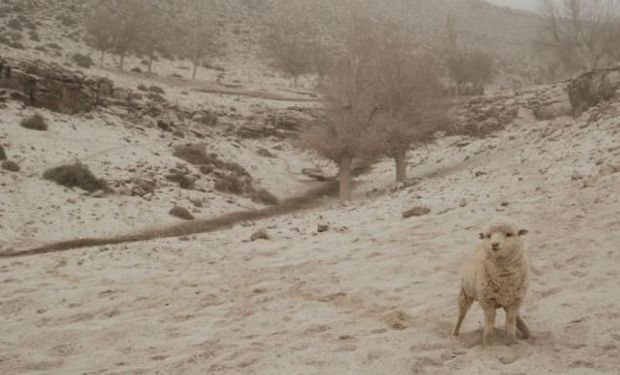 El Gobierno de Neuquén declaró ayer la emergencia agropecuaria en gran parte del territorio provincial.