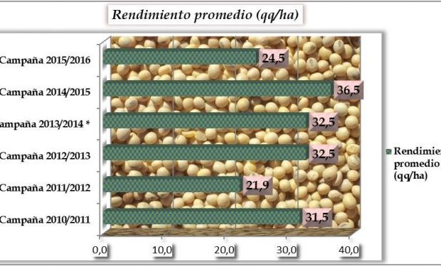 Soja de primera en el centro norte de Santa Fe.