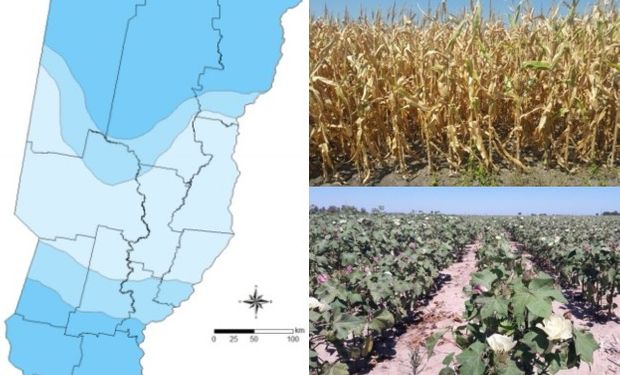 Los pronósticos se cumplieron y preocupa la falta de lluvias.