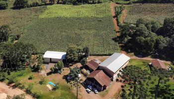 CEP Rural: Paraná lança endereço digital para 300 mil propriedades