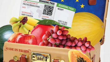 Exportações brasileiras de frutas caem 17% em 2022