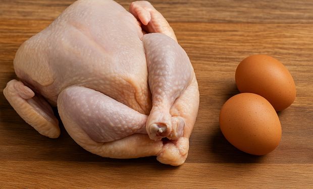 Preços da carne de frango sobem com força; ovos têm queda de 11%