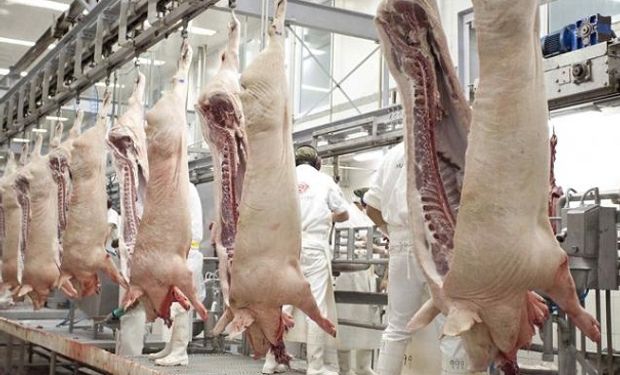 Con inversiones chinas, Argentina busca producir 9 millones de toneladas de carne de cerdo 