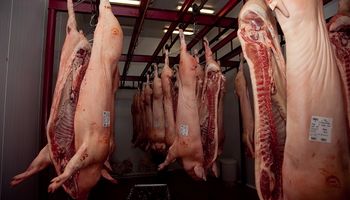 Récord en producción porcina: se faenaron más de 6 millones de cabezas