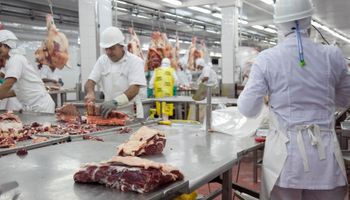 Suspenden plantas frigoríficas por irregularidades
