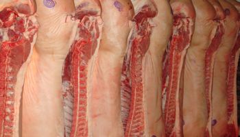 Consumo de cerdo ya alcanza 14 kg per cápita al año