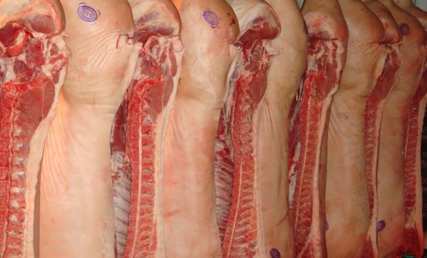 En 2008 en Argentina se consumían 2,5 kg de carne porcina por habitante al año. La cifra hoy es 460% mayor.
