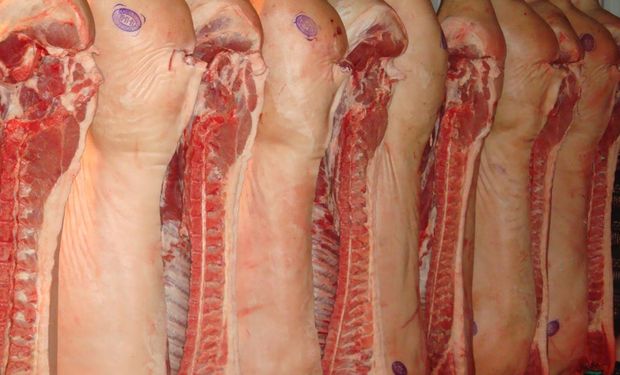 La tendencia al alza en la producción de carne de cerdo se ratificó en el primer bimestre de 2015: se expandió un 7,5%.